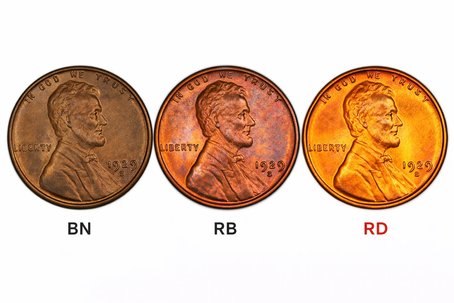 Three high-grade 1929 Lincoln cents showing BN, RB, and RD copper color categories side by side.